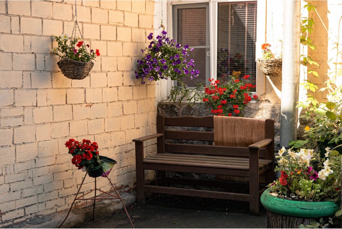 Vedeli ste, že tieto rastliny môžete ľahko presadiť doma? Zistite, ako