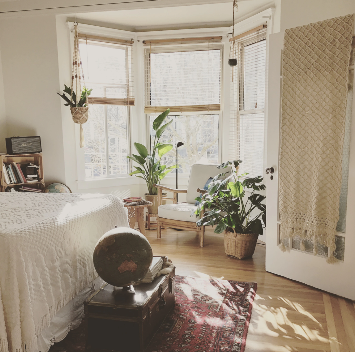 Ako oživiť rastlinu, ktorá začala vädnúť? Tipy na rýchlu obnovu