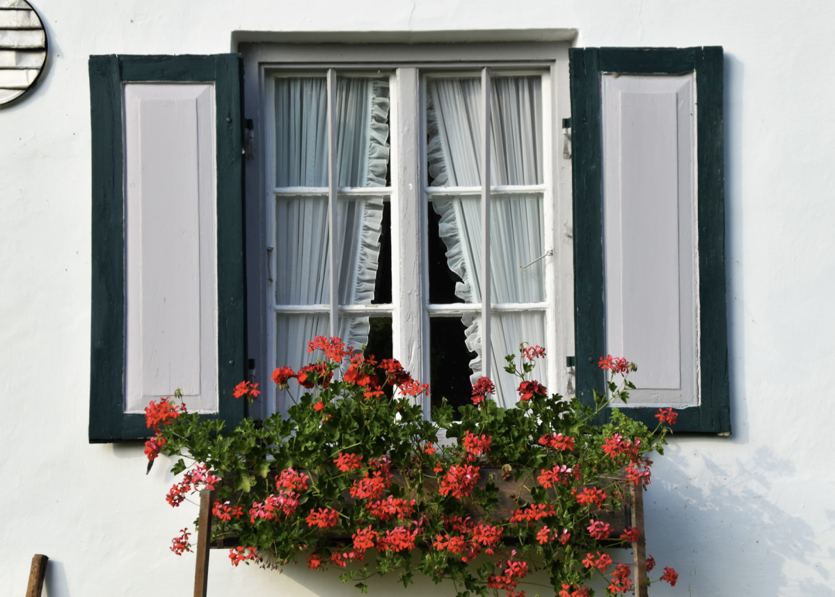 Jednoduché tipy na správne zavlažovanie rastlín – nerobte tieto chyby