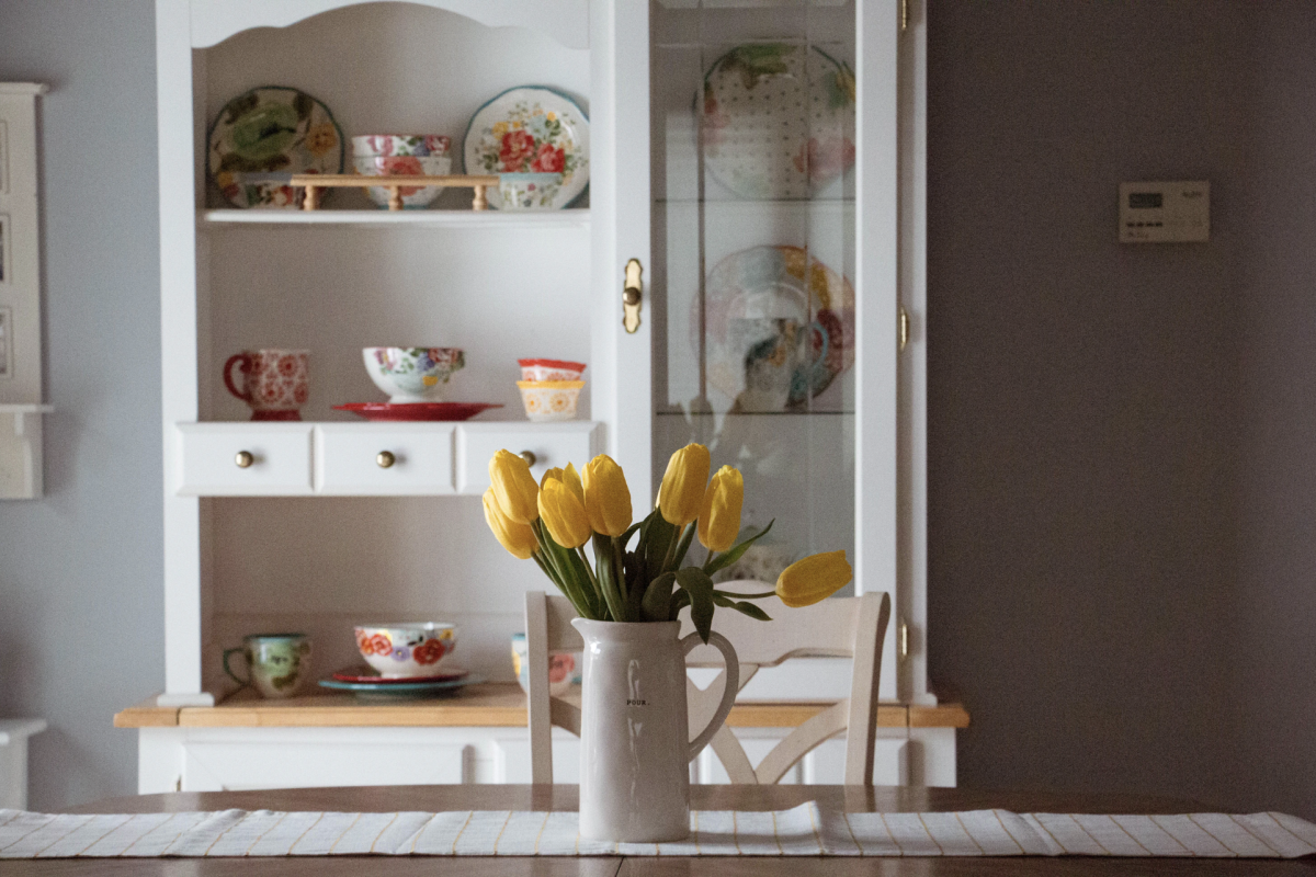 Tajomstvo pestovania zdravých izbových rastlín – čo potrebujete vedieť?