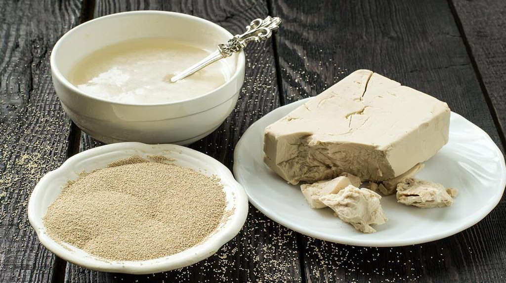 droždie - Ingrediencie